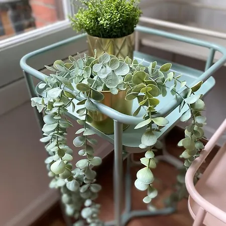 Hihome Uria اوفيدو