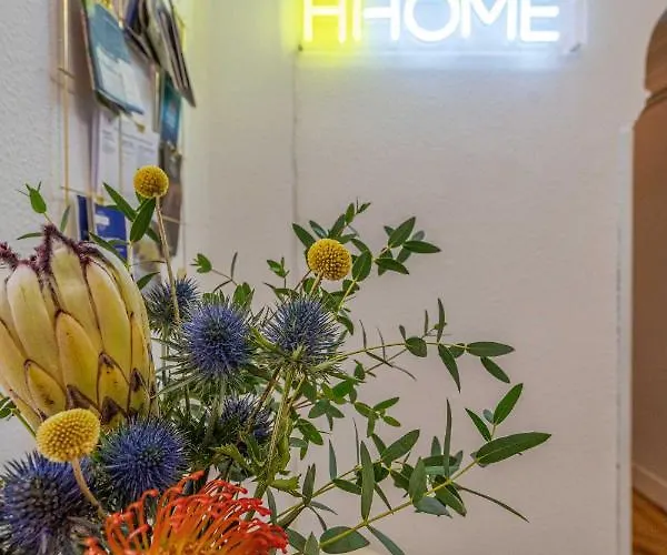 Hihome Uria 오비에도